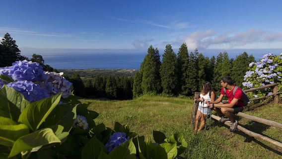 Half-day hiking tour in Sete Cidades