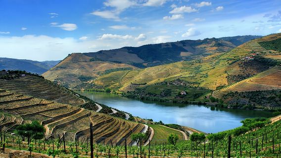Douro Valley day tour from Porto with lunch, wine tasting, and cruise