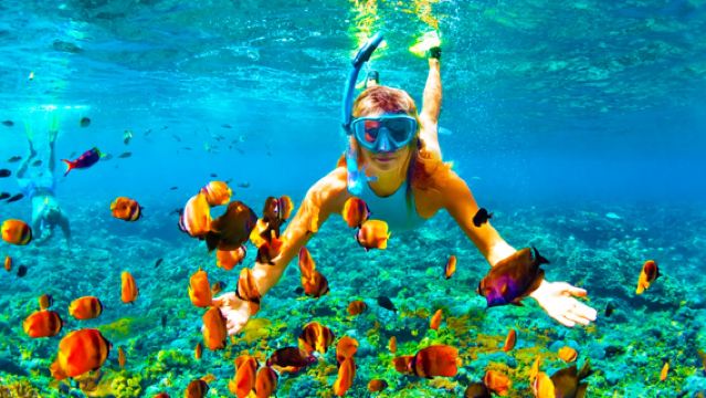 Lawatan sehari ke Pulau Mengalum, Kota Kinabalu Sabah Resort Cinta Pulau Mengalum Snorkeling Scuba Diving Hutan Bakau Kunang-Kunang