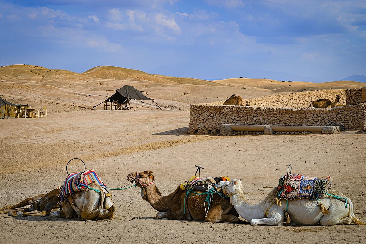 ขี่รถ ATV, ขี่อูฐ และรับประทานอาหารค่ำพร้อมชมการแสดงในทะเลทรายอะกาเฟย์