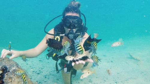 Discover Scuba Diving in Dubai 1