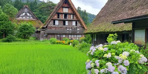 天天出團+2地上車丨名古屋白川鄉合掌村+飛驒高山+純玩一日遊