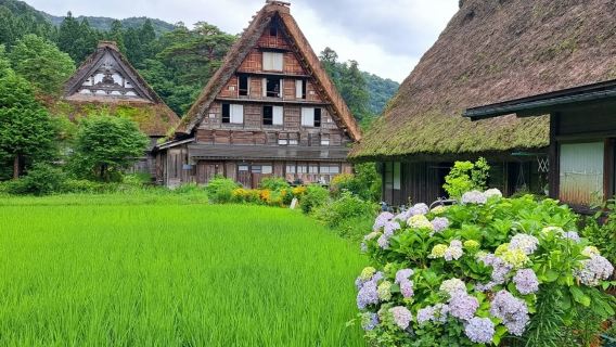 Départs quotidiens + 2 points de prise en charge | Excursion d'une journée à Nagoya, Villages historiques de Shirakawa-gō et Takayama sans shopping