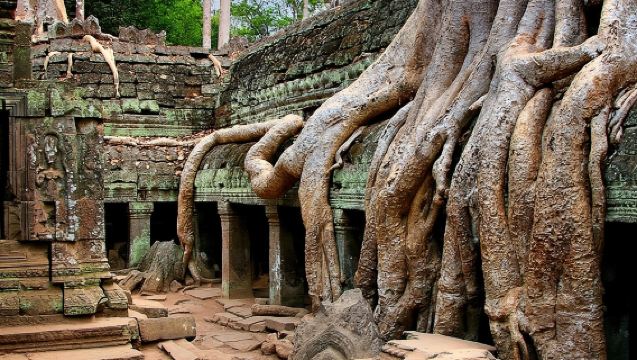 ทัวร์ชมพระอาทิตย์ขึ้นหรือตกที่นครวัดพร้อมไกด์จากเสียมราฐ