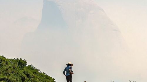 Yosemite Day Tour from San Francisco Day Tours