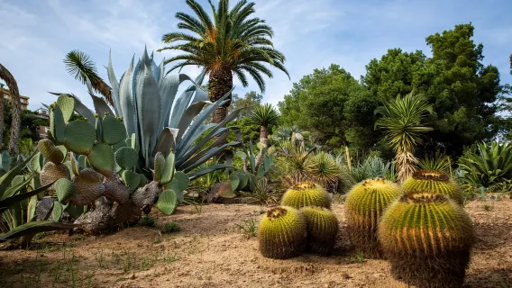 Costa Brava small group tour - Discover hidden beaches and enjoy a traditional lunch (English-speaking guide)