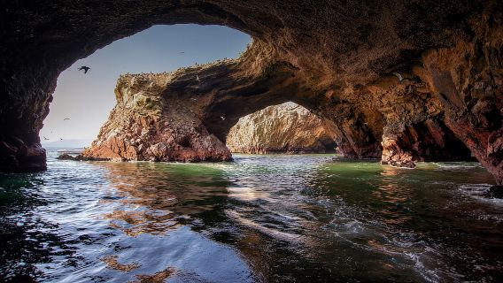 From Ica: Ballestas Islands and Paracas National Reserve …