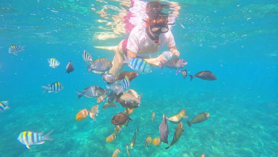 Blue Lagon Snorkeling, Waterfall, and Celuk Village Tour