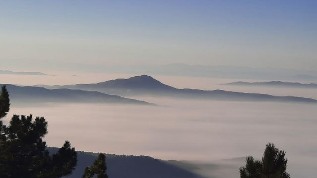 Divčibare: escursione escursionistica "Segui il sole"
