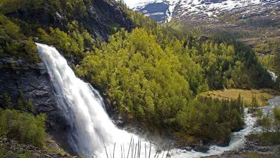 Bergen: fiordo, cascate e torta di mele – Tour guidato in autobus