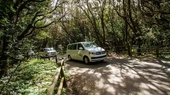 South Tenerife: San Cristóbal de La Laguna and Anaga Tour