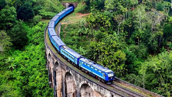 Desde Niza: viaje en tren histórico y pueblos alpinos