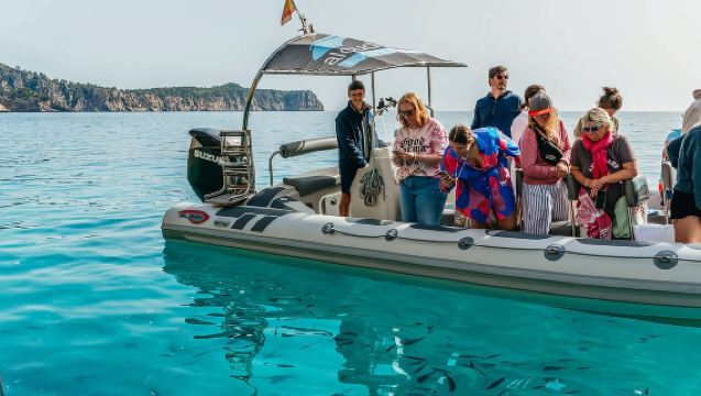 Alcúdia Delfinbeobachtung 100 % garantiert – halbprivat