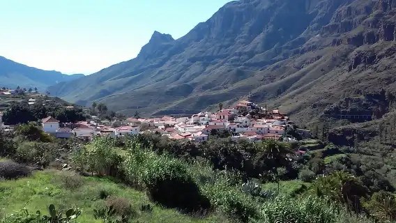 Las Palmas: 8-Hour Gran Canaria Island Highlights Tour