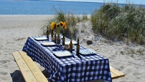 Nueva York: Recorrido guiado en bicicleta por la clásica región vinícola
