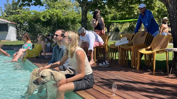 From Porto: Tastings at 2 Wineries, Chef's Lunch & Boat Tour