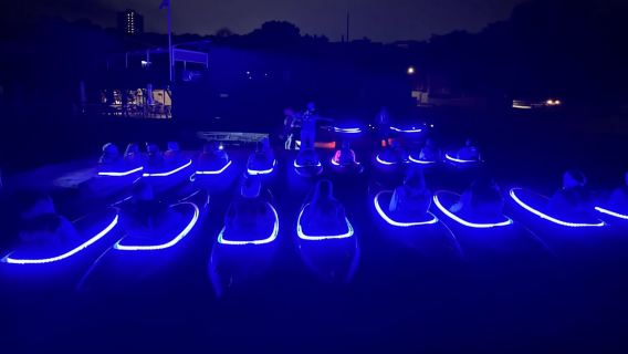 Sydney: Sunrise Kayak, Opera House & Under Harbour Bridge