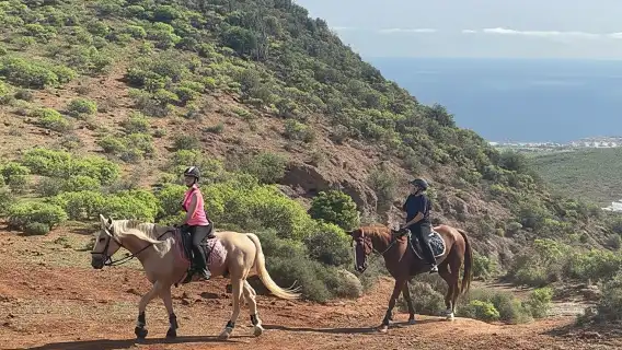 2 hours Green Mountains Horse Riding Tour