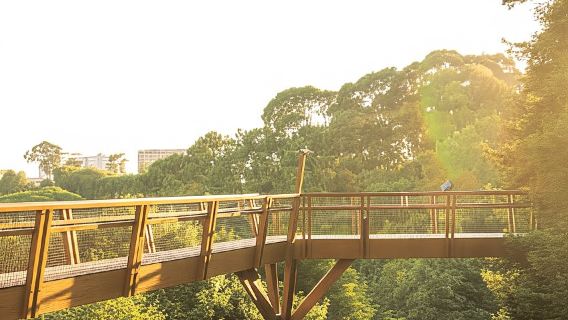 Porto: Serralves Foundation All Access Pass