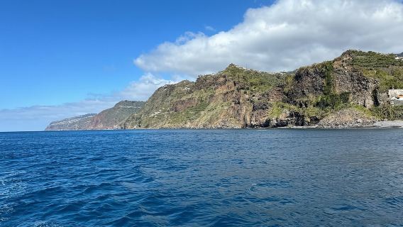 Madeira: 5-stündiger Ausflug mit einem Holzboot an der Westküste