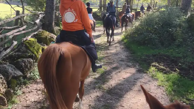 Escape from the city: Cowboy experience with meals & wines