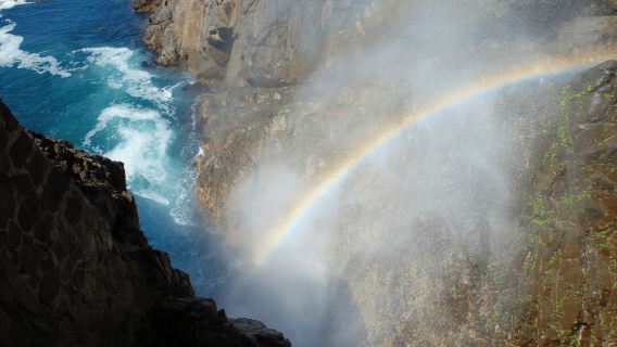 Ensenada: Chuyến tham quan riêng tới mạch nước phun La Bufadora