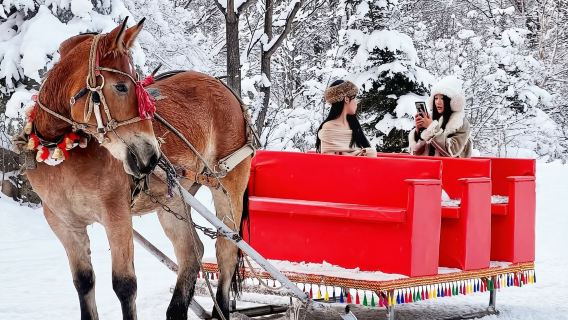 贈雪圈＋滑雪套票＋馬拉爬犁＋寒地溫泉【亞布力陽光滑雪場一日遊