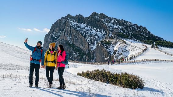 Isla de Jeju, sitio de la UNESCO en el este del país: excursión guiada de día completo