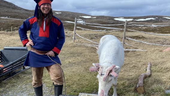 사미 캠프 투어와 함께하는 노스 케이프와 킹크랩 투어