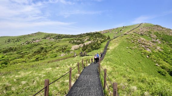 สัมผัสอากาศบริสุทธิ์ที่ภูเขาโซแบ็กซาน แล้วไปเดินชิลล์ที่ตลาดกูเกียง