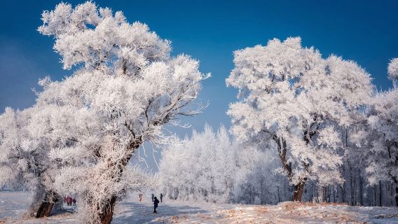 吉林市霧凇島一日遊【滿族民居吉林出發舒適大巴專業導遊帶團】