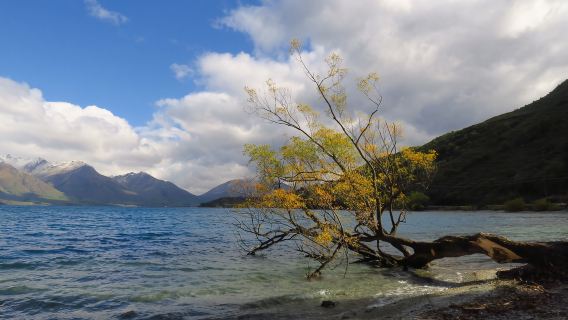 新西蘭皇后鎮來回 箭鎮-瓦納卡鎮 暢遊南北島 可定制包車