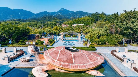 【6人私家團】海濱溫泉冬日泡湯+出海捕魚+沙灘燒烤煙花半日遊