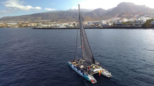 Costa Adeje: Whale & Dolphin Eco-Cruise with Snacks & Drinks