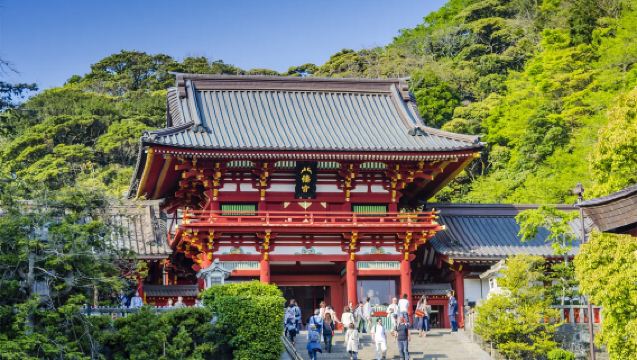 鎌倉鶴岡八幡宮+鎌倉大佛+報國寺