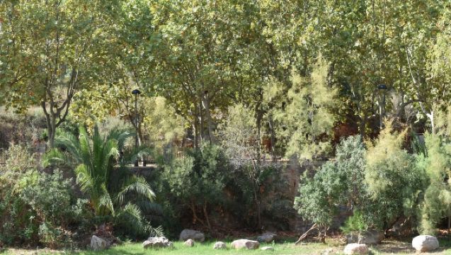 Caves of San José - Half-Day Tour from Cruise Terminal