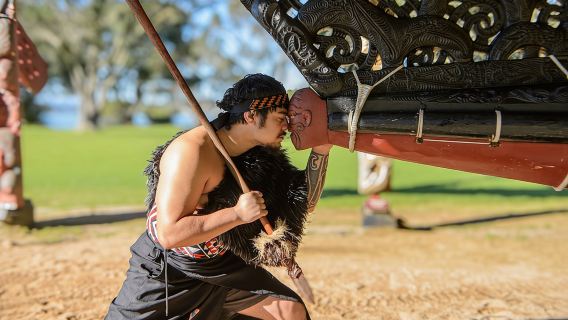Waitangi Treaty Grounds Admission