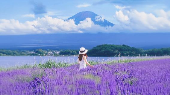 FujikawaguchikoTours