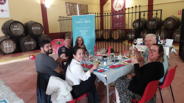 Winery and olive oil mill tour and tasting with tapas