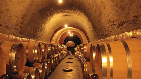Wine experience with castles, medieval cities or cathedrals guided tour from Madrid