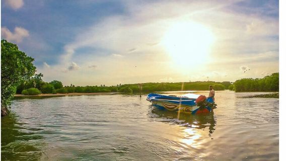Paseo en barco en Negombo