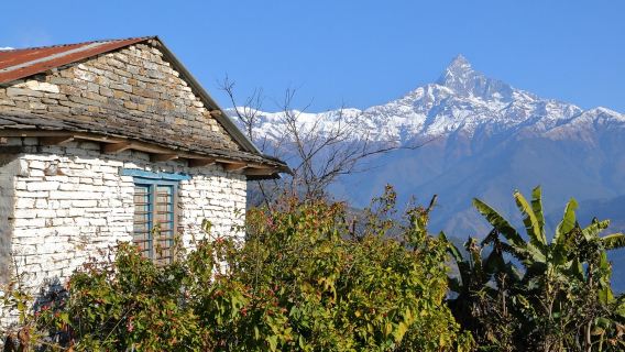 Поход в австралийский лагерь и Дхэмпус