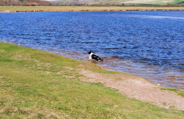英國倫敦七姐妹白崖+布萊頓海灘一日遊/行程可調-可拼團