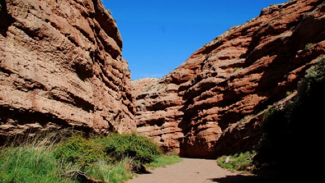 張掖七彩丹霞旅遊景區+平山湖大峽谷一日遊純玩【可選2-5人尊享小團】
