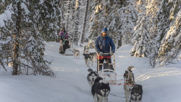 Snowy Trails 10km Husky Safari from Rovaniemi