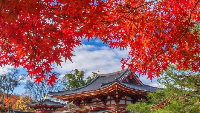 日本京都奈良+伏見稻荷大社+清水寺【9人小團‧可飯店接送】