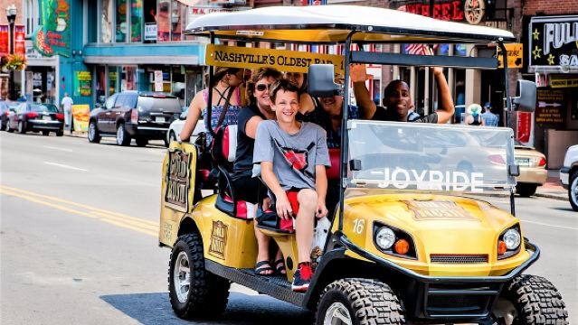 Nashville Kombi-Tour: Sightseeing, Wandgemälde & Brauerei/Destillerie