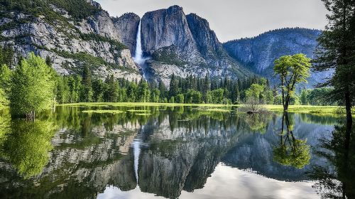 Yosemite Day Tour from San Francisco Day Tours