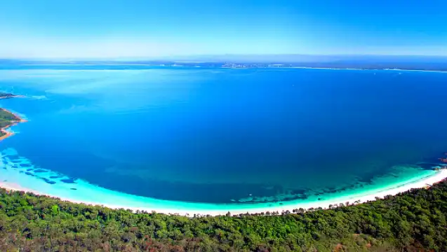 悉尼傑維斯灣出海觀鯨觀海豚遊船（提供茶水熱飲/天天出發/可選班次）