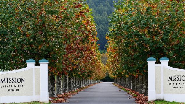 Napier/Hawke's Bay Premium Wineries +Beer tour -5.0 - 5.5 hours